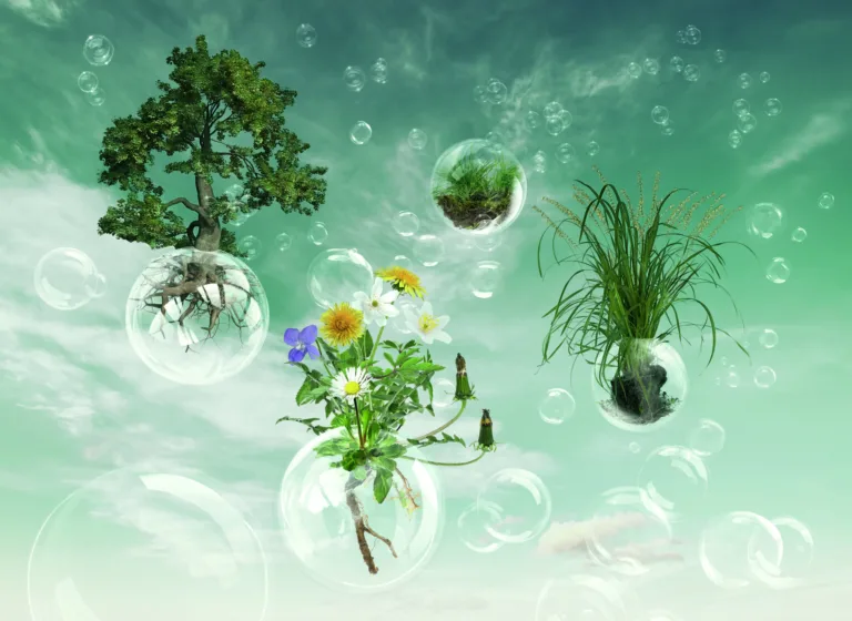 2023 Responsible Care Award-Category Safe and Sustainable chemicals-Evonik-Revolutionising the world of cleaning with glycolipid biosurfactants.