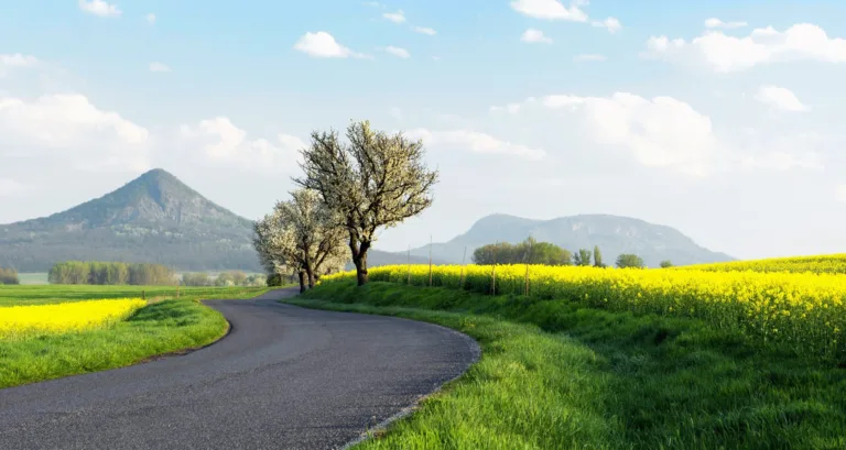 ChemistryCan_Transforming tyres into roads