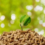 bioeconomy