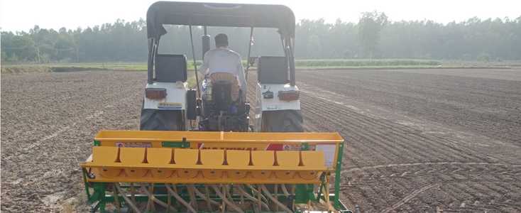 Transforming Rice Cultivation in the Face of Water Scarcity