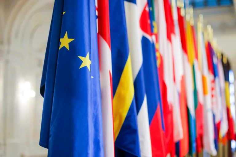 EU flags