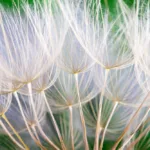 Responsible-Care-40-years-anniversairy-jpg.webp