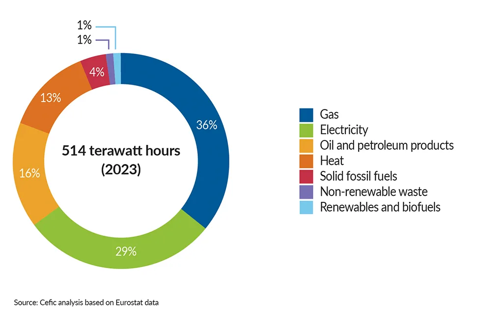 FactsandFigures2025_ch5_1_Total-energy-consumption-in-the-EU27-chemical-industry-by-source_without-title