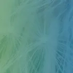 RC Awards - full background