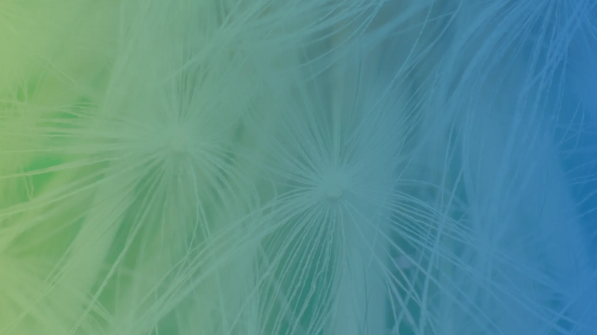 RC Awards - full background