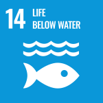 SDG14 Life below water