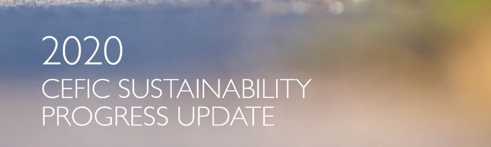 2020 Sustainability Progress Update from the European Chemical Industry COuncil Cefic 