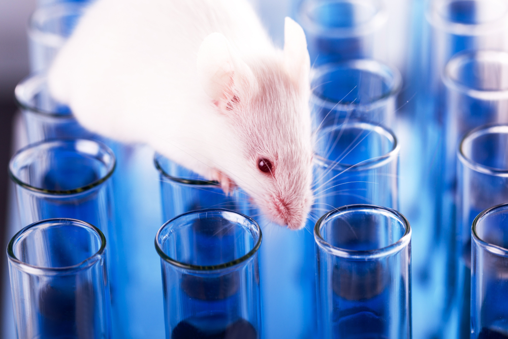 research project alternatives to animal testing