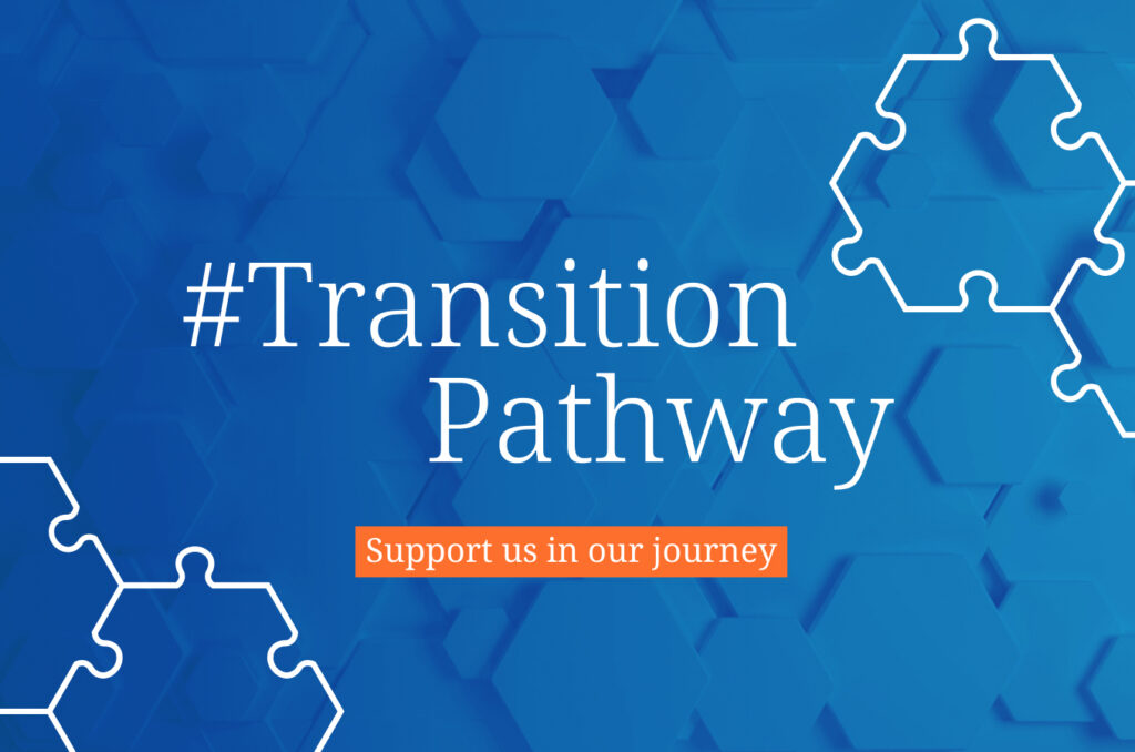 The EU Chemical Industry Transition Pathway