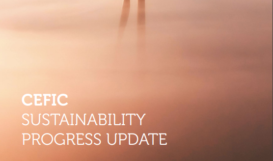 Sustainability Progress Report 2022