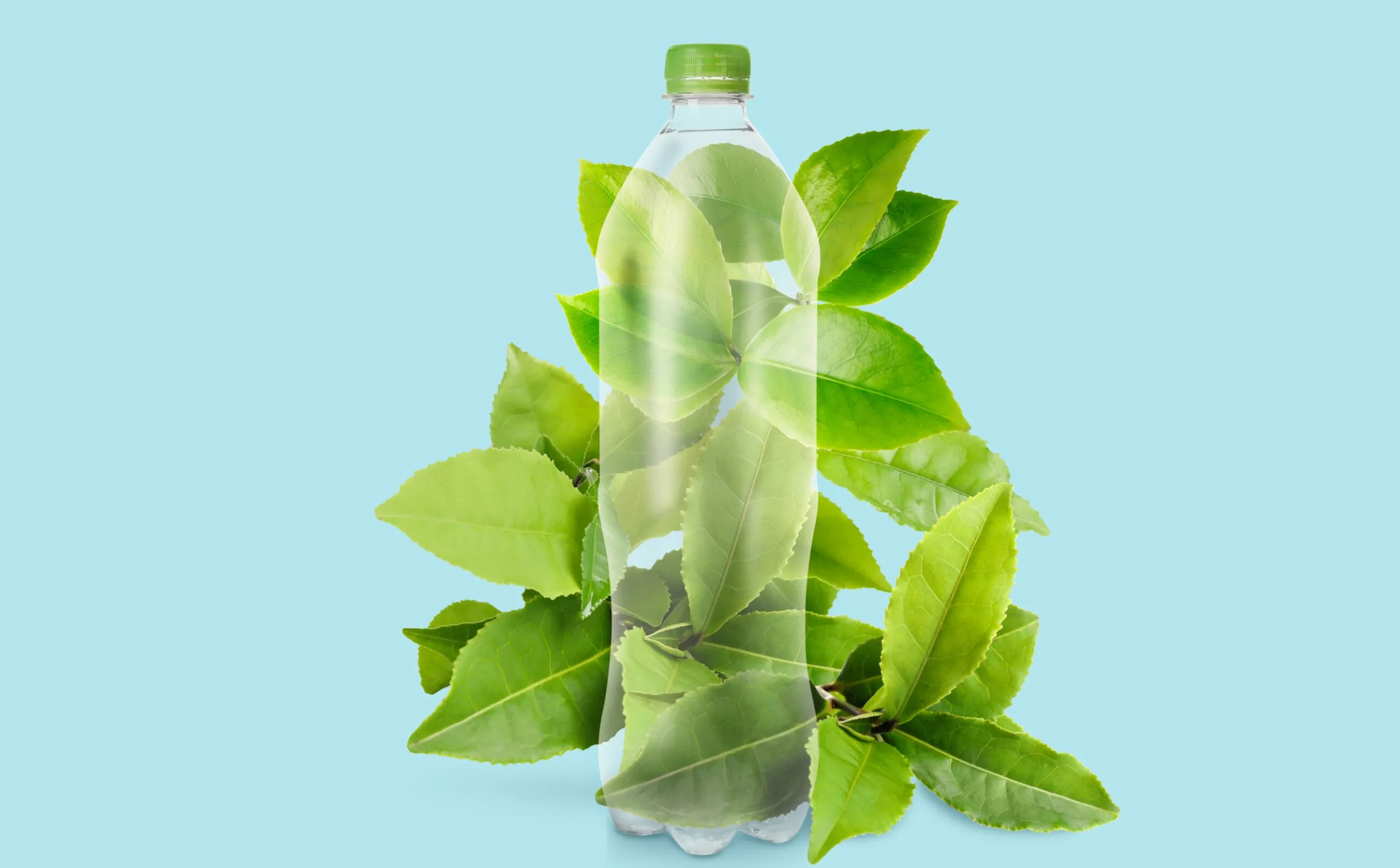 Bio based plastics