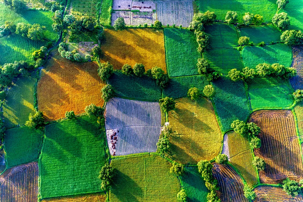 Cefic Policy Issue our commitment to people and the environment