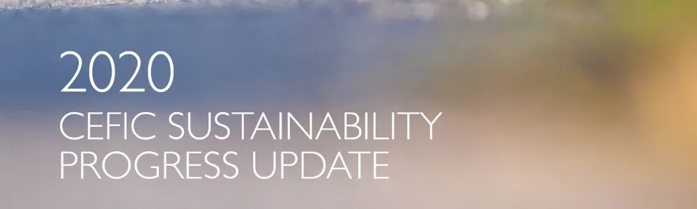 2020 Sustainability Progress Update from the European Chemical Industry COuncil Cefic