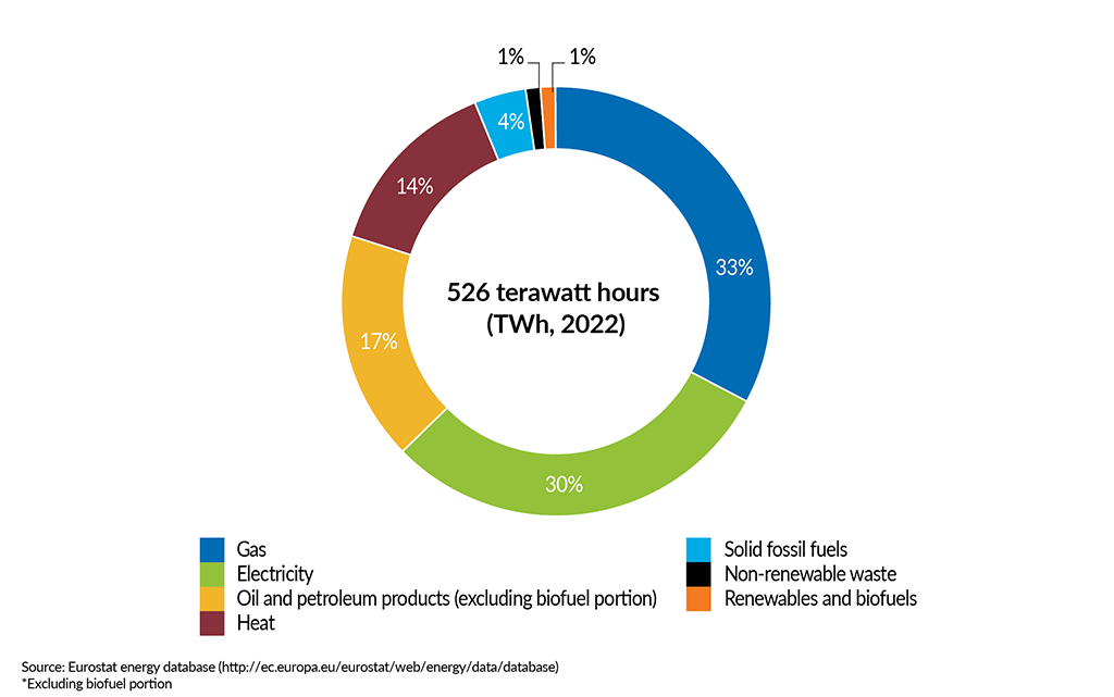 __FactsandFigures2024_ch5_1_Total energy consumption* in the EU27 chemical industry by source, 2022 (%)