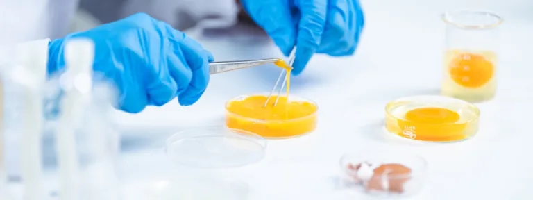 Alternative Approaches to Animal Testing